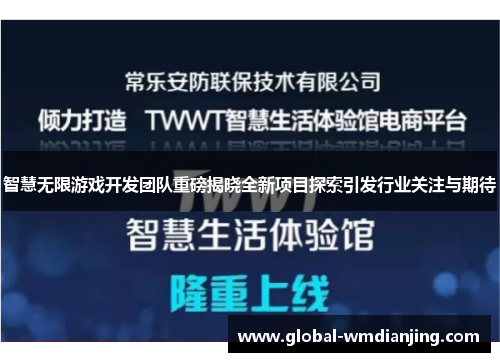 智慧无限游戏开发团队重磅揭晓全新项目探索引发行业关注与期待