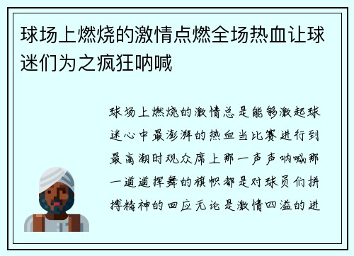 球场上燃烧的激情点燃全场热血让球迷们为之疯狂呐喊