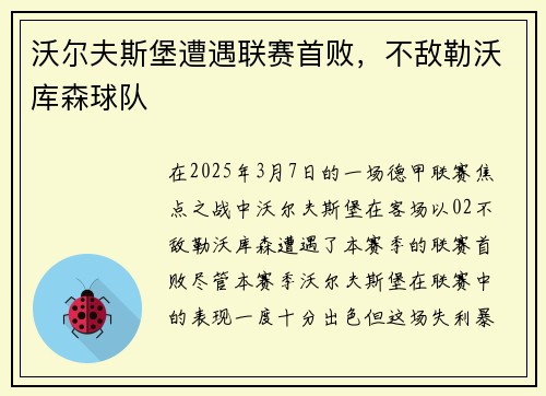 沃尔夫斯堡遭遇联赛首败，不敌勒沃库森球队